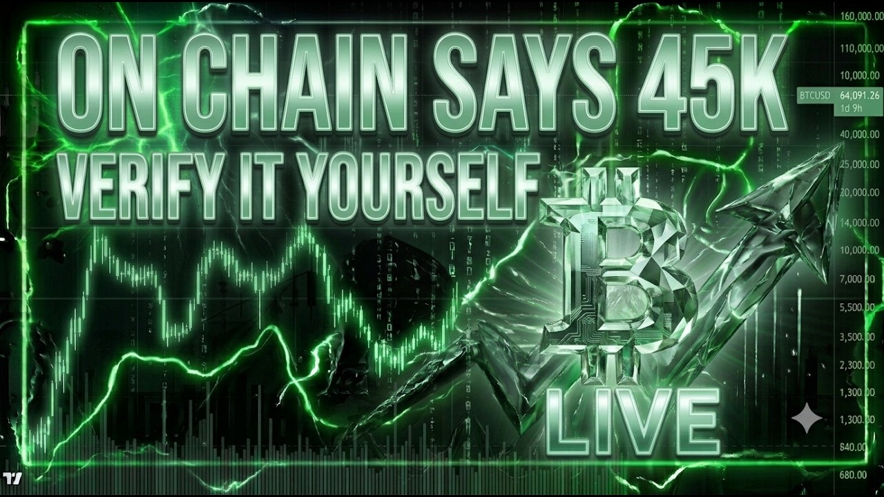 ALL On Chain Data Says The Bottom Is NOT IN? Preparing For End of Bear Market! Bitcoin Dogecoin LIVE