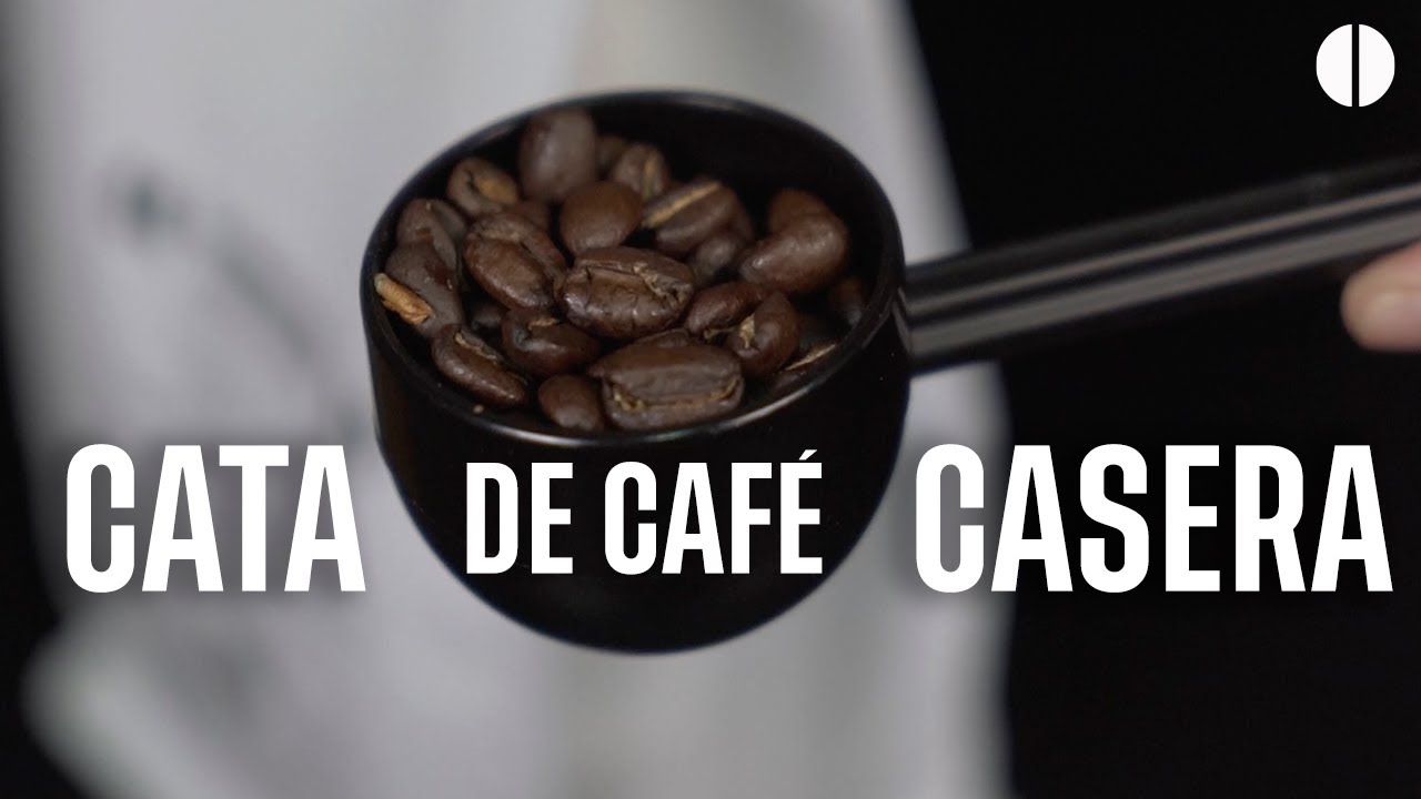 BARISTA por un día, aprende a hacer una cata de CAFÉ DE ESPECIALIDAD en casa con tu máquina.