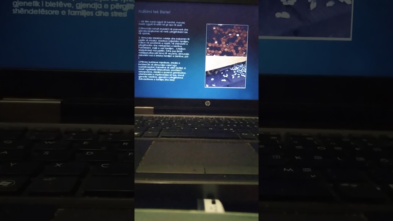 Bletet dhe Semundja e Askosferoza (Gelqerizimi i larvave