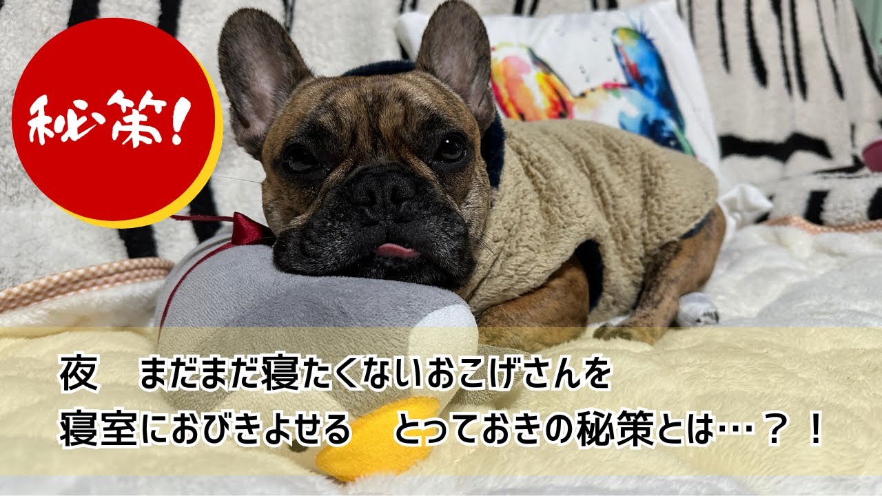 おこげさんをおびき寄せろ　～うっかり　おこげ～