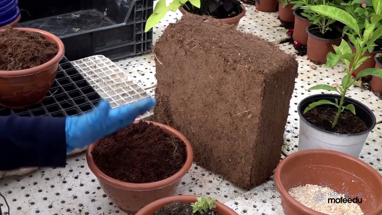 كوكوبيت Coco Peat | ألياف جوز الهند | وسط زراعي ممتاز لزراعة النباتات وبديل عن البيتموس