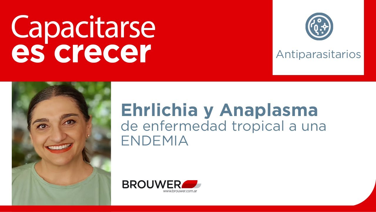 Ehrlichia y Anaplasma de enfermedad tropical a una endemia