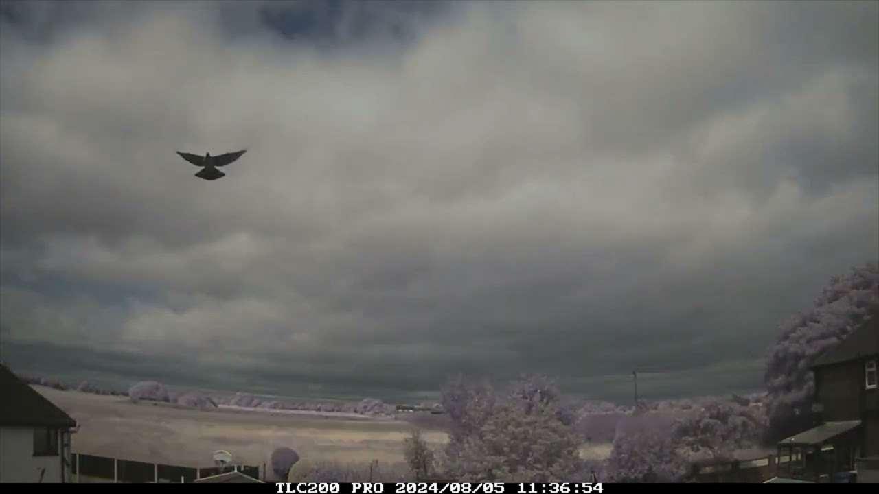 5th August 2024 timelapse, Irlam