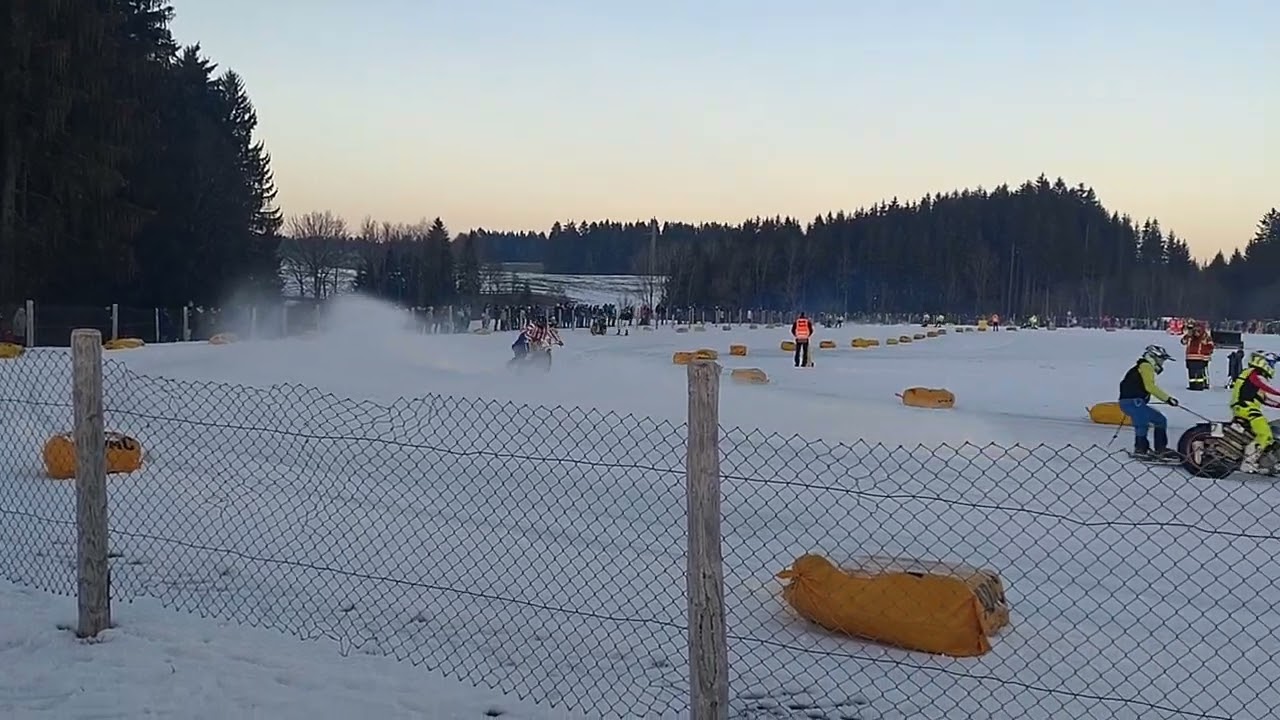 Skijöring Steingaden 19.01.2025