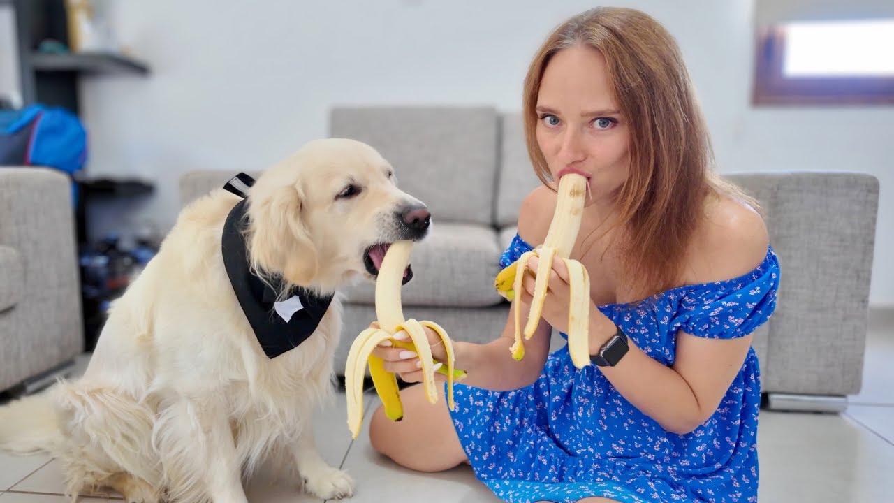 Funny Banana Eating with My Cute Dog Ozzy [Try Not To Laugh]