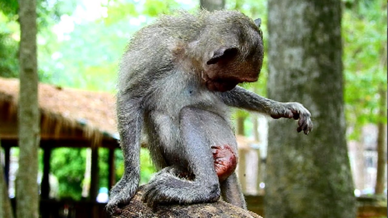 The Boil just broken make Julina feel nervous, What baby do next ? Why mum not help baby