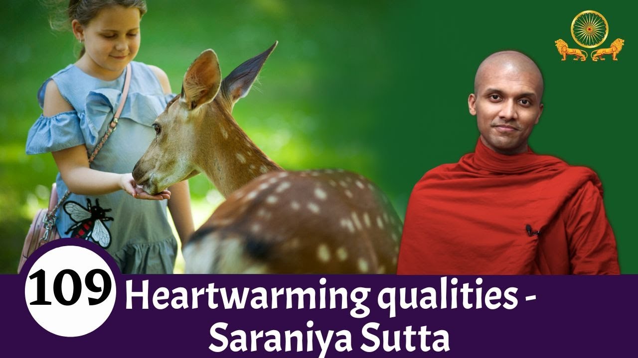 Heartwarming qualities - Saraniya Sutta| Mirror of the Dhamma for Kids | Episode 109