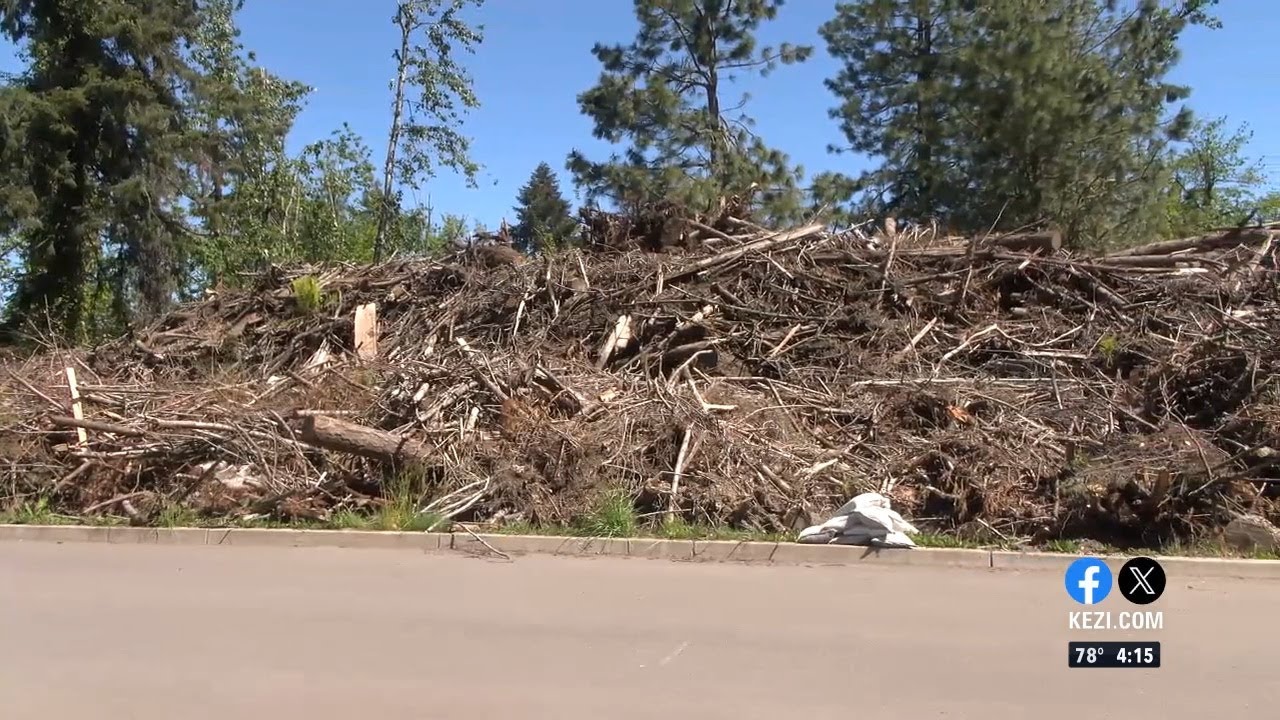 Storm debris will increase fire risk this wildfire season