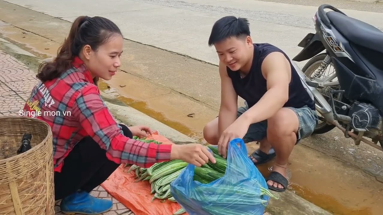 Harvesting peanuts to sell at the market - Daily life