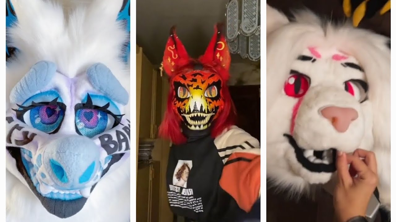 🌈🦝💖Фурри из Тик Тока (1 часть)🌈🦝💖