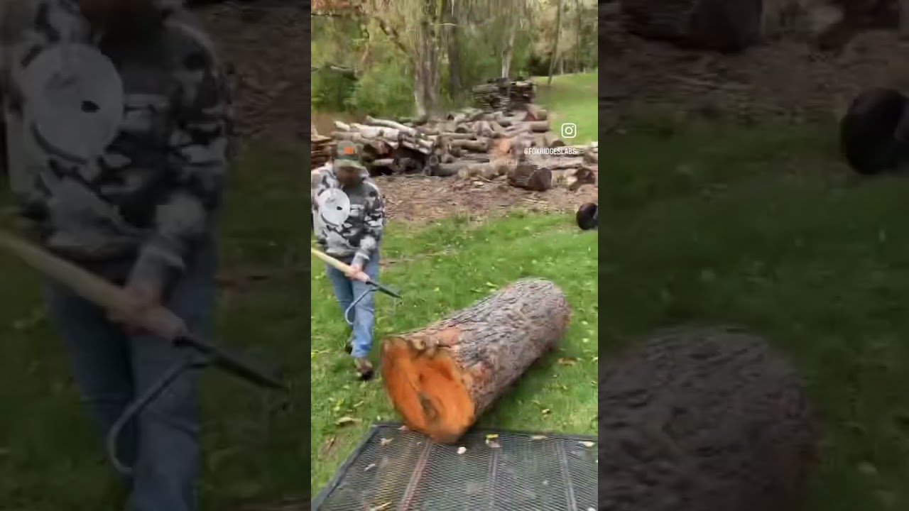Unloading a Big Cherry Log! #cherry #log