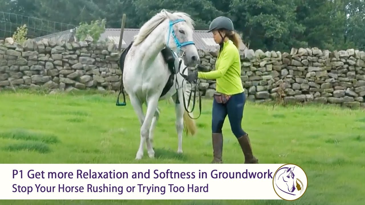 P1 Get More Relaxation and Softness in Groundwork: Stop Your Horse Rushing or Trying Too Hard
