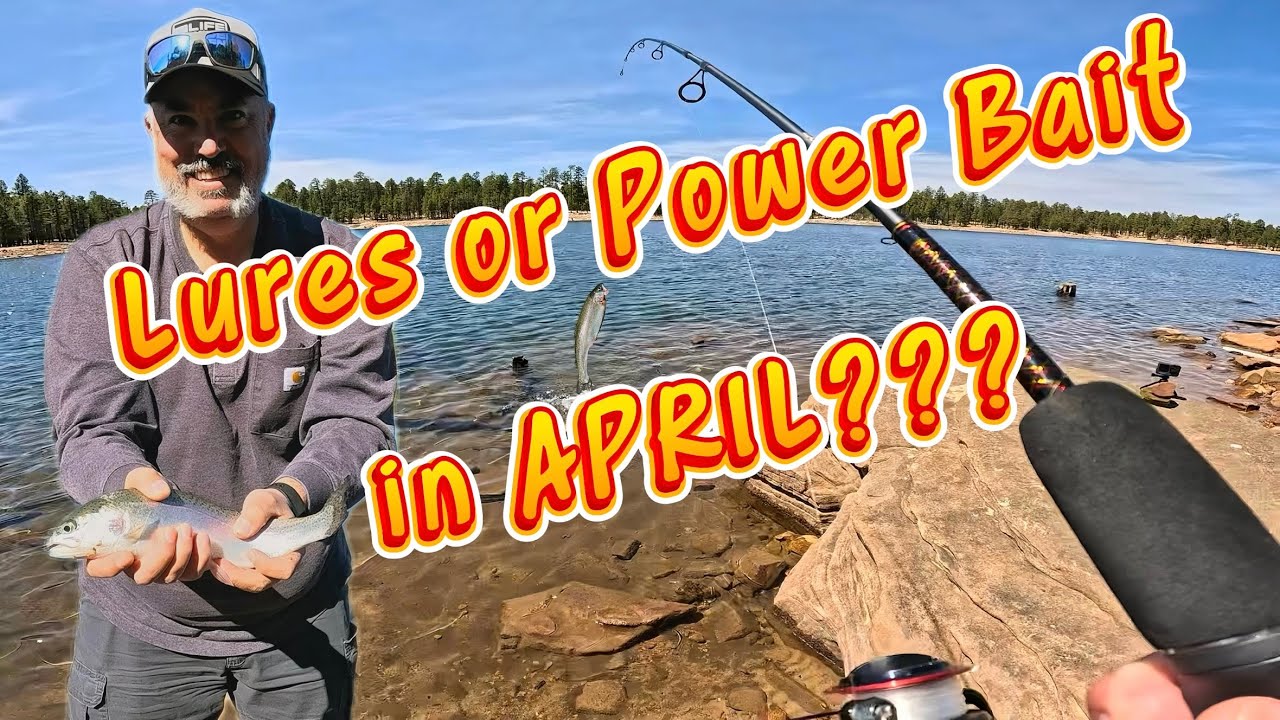 Rainbows and Tiger Trout!  Willow Springs Lake Fishing Report April 2025 | Fishing Tips and Tactics