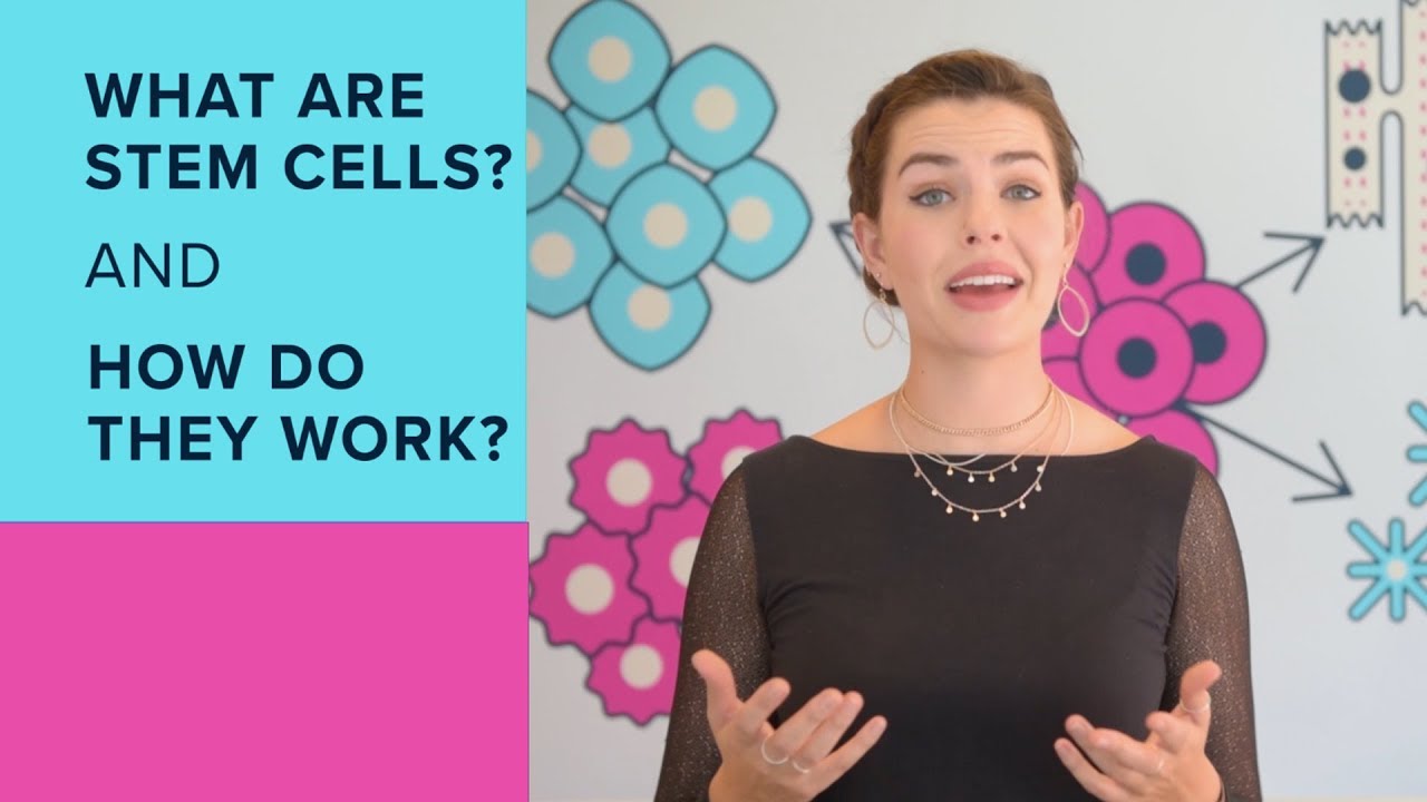 The Basics of Stem Cells | Dose of Science