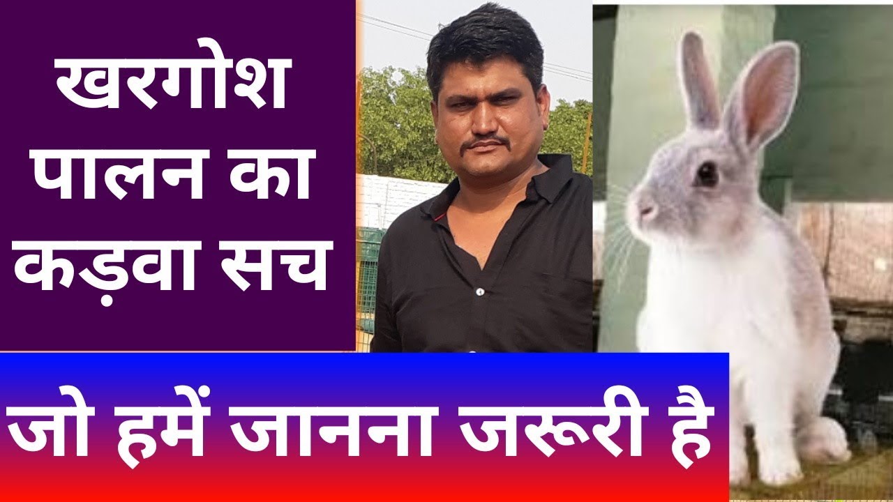 खरगोश पालन का कड़वा सच || Rabbit Farming Full expose - Agritech Guruji