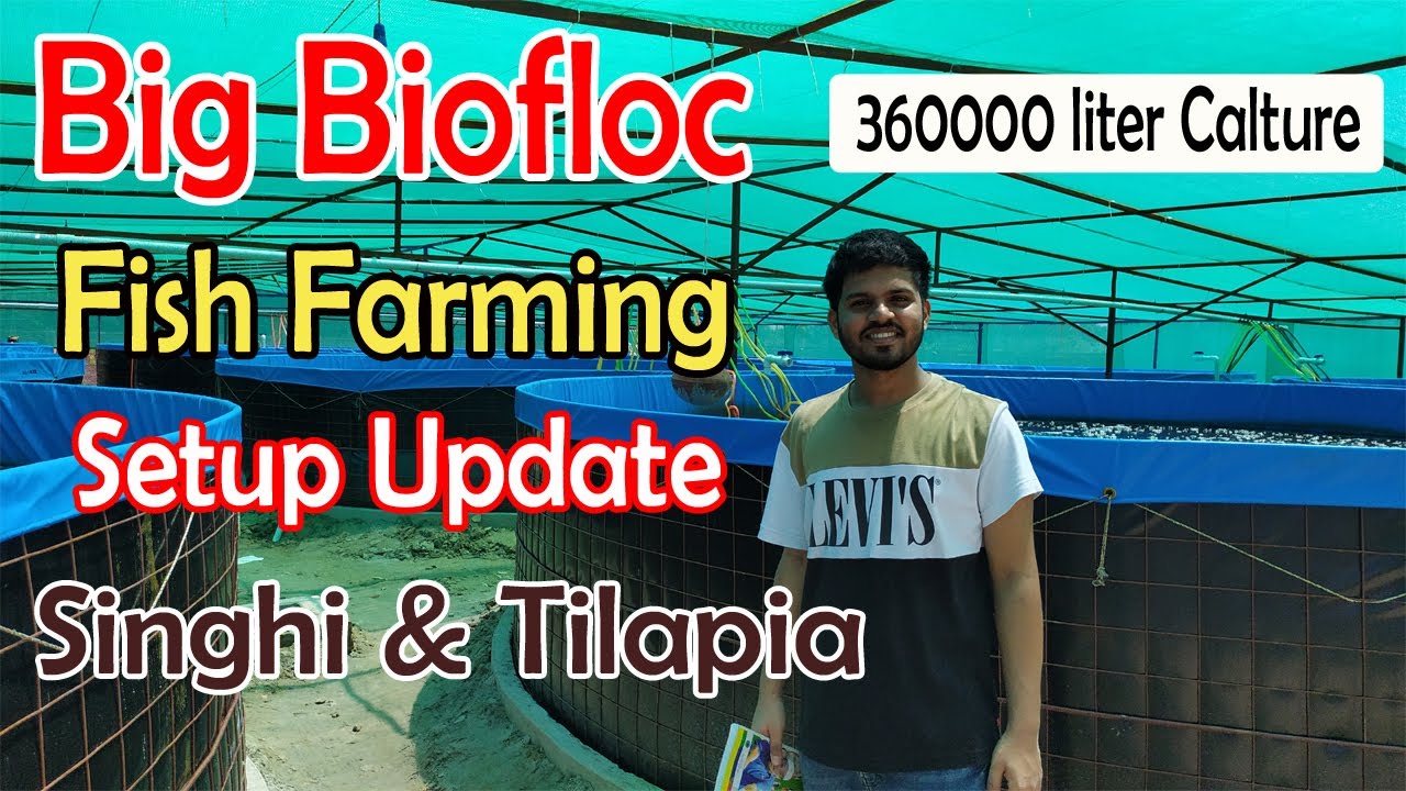 Biofloc l Big Biofloc Fish Farming Setup Update l Biofloc Fish Farming in Mau l 360000 Liter Calture