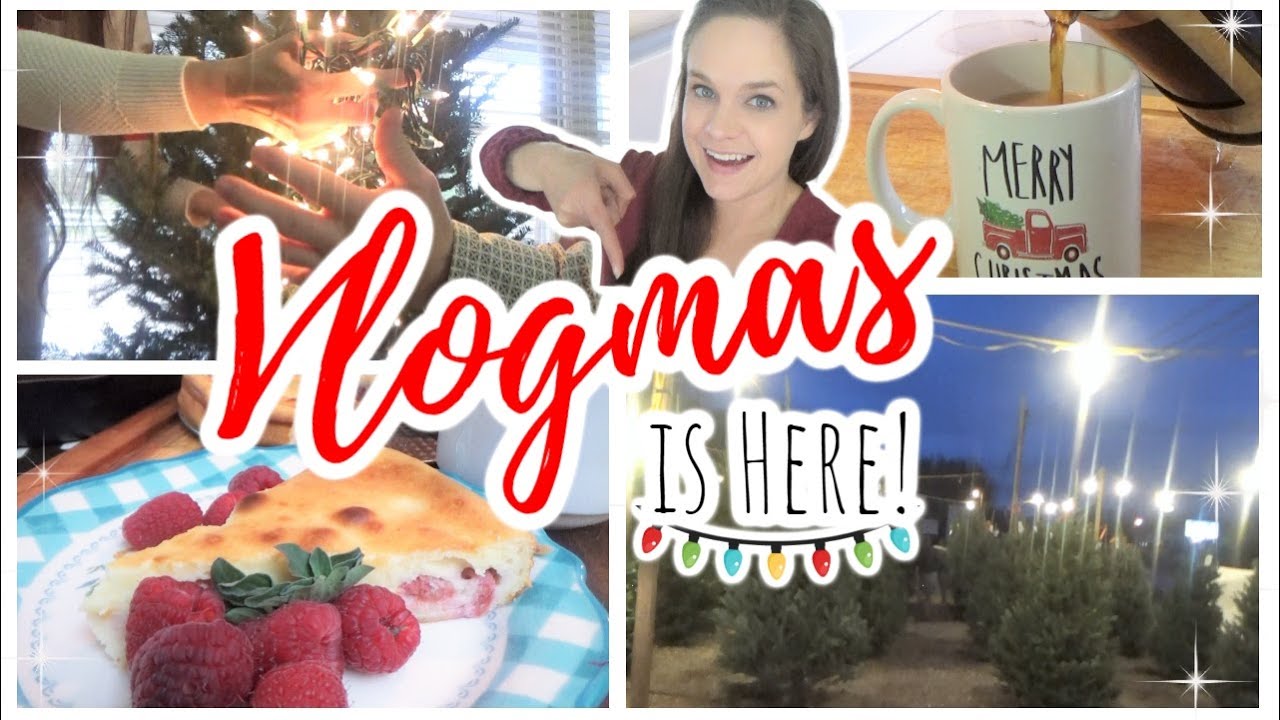Day 1 of VLOGMAS 2022! | 🎄Prancer Returns! Decorating The Christmas & Tree Raspberry Cheesecake