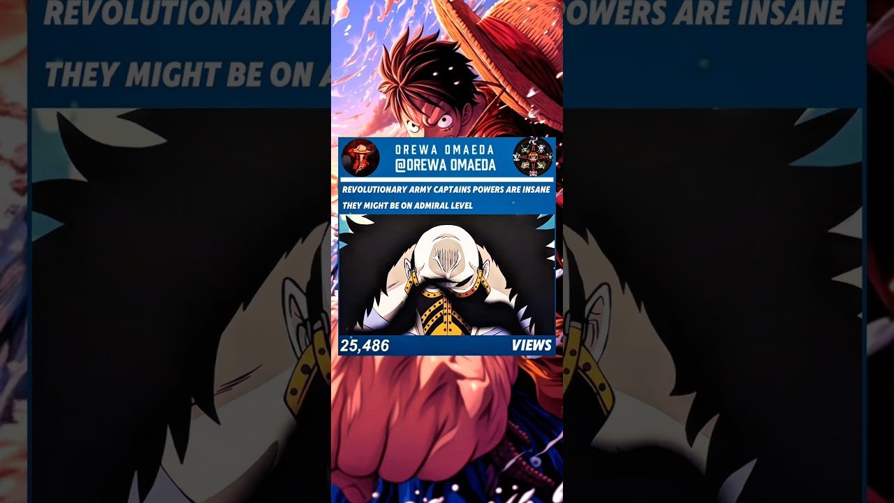 They might be on admiral level| #luffy #karasu #onepiece #anime