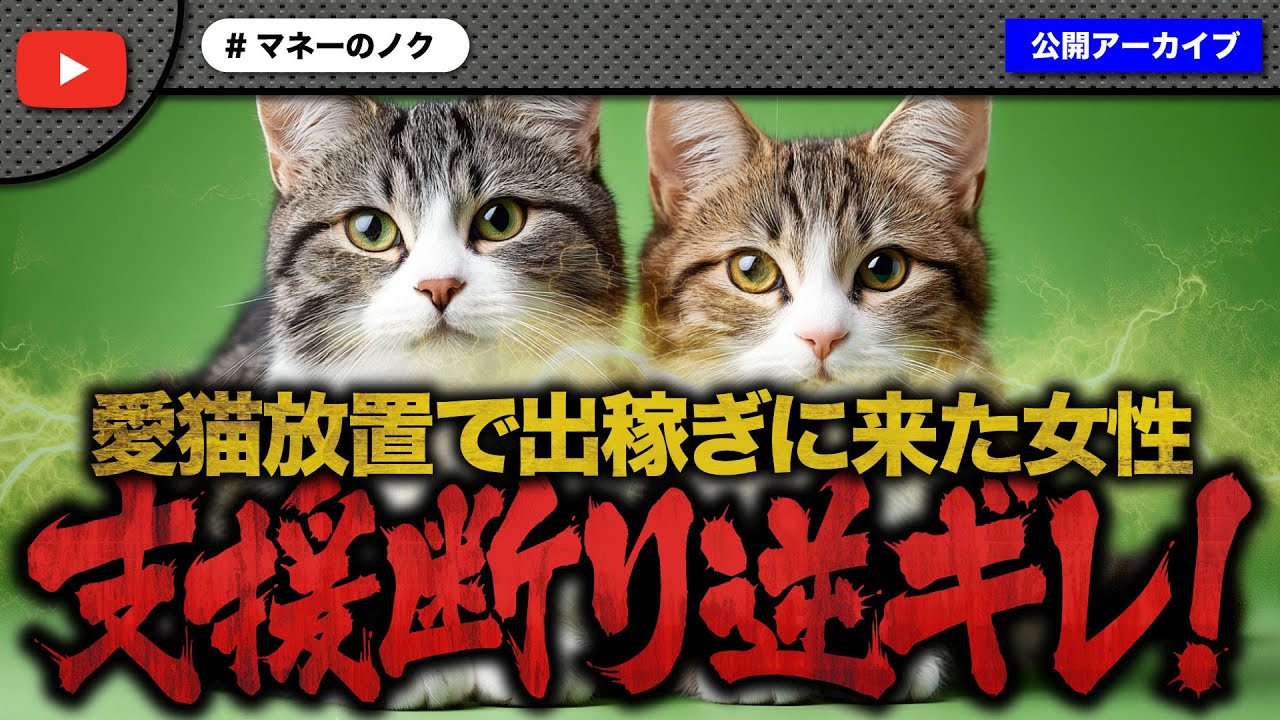 猫2匹を置いて出稼ぎの女性に非難殺到！支援のお願いもまさかの逆ギレで大炎上！