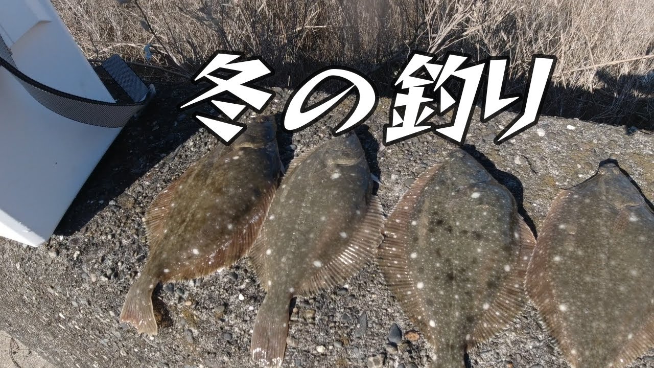 カレイ釣り　余ったエサは塩イソメ