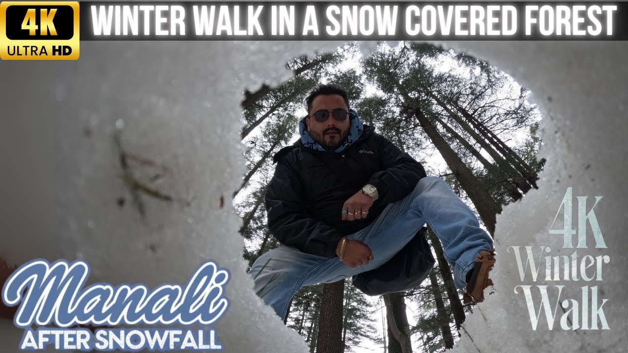 Van Vihar Manali : Walking In A Snow Covered Forest |  4K Winter Walk After Heavy Snowfall In Manali