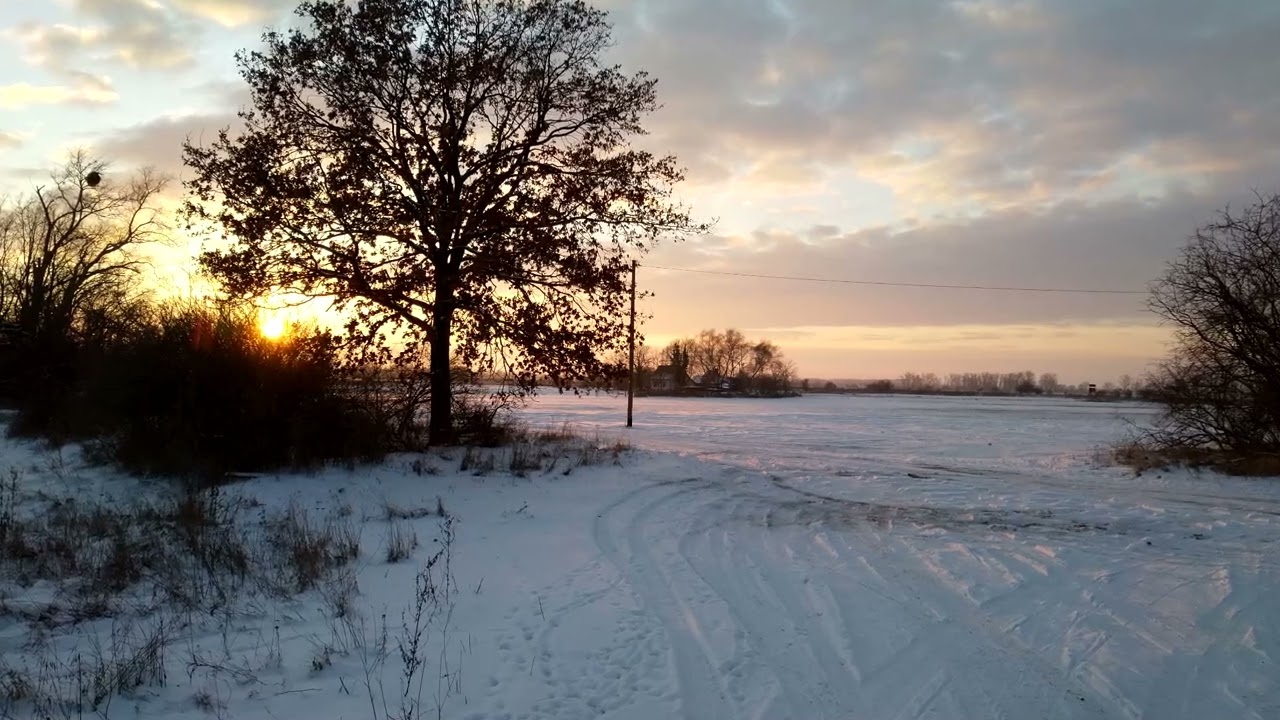 Josef G.Rheinberger (1839-1901) - Vision