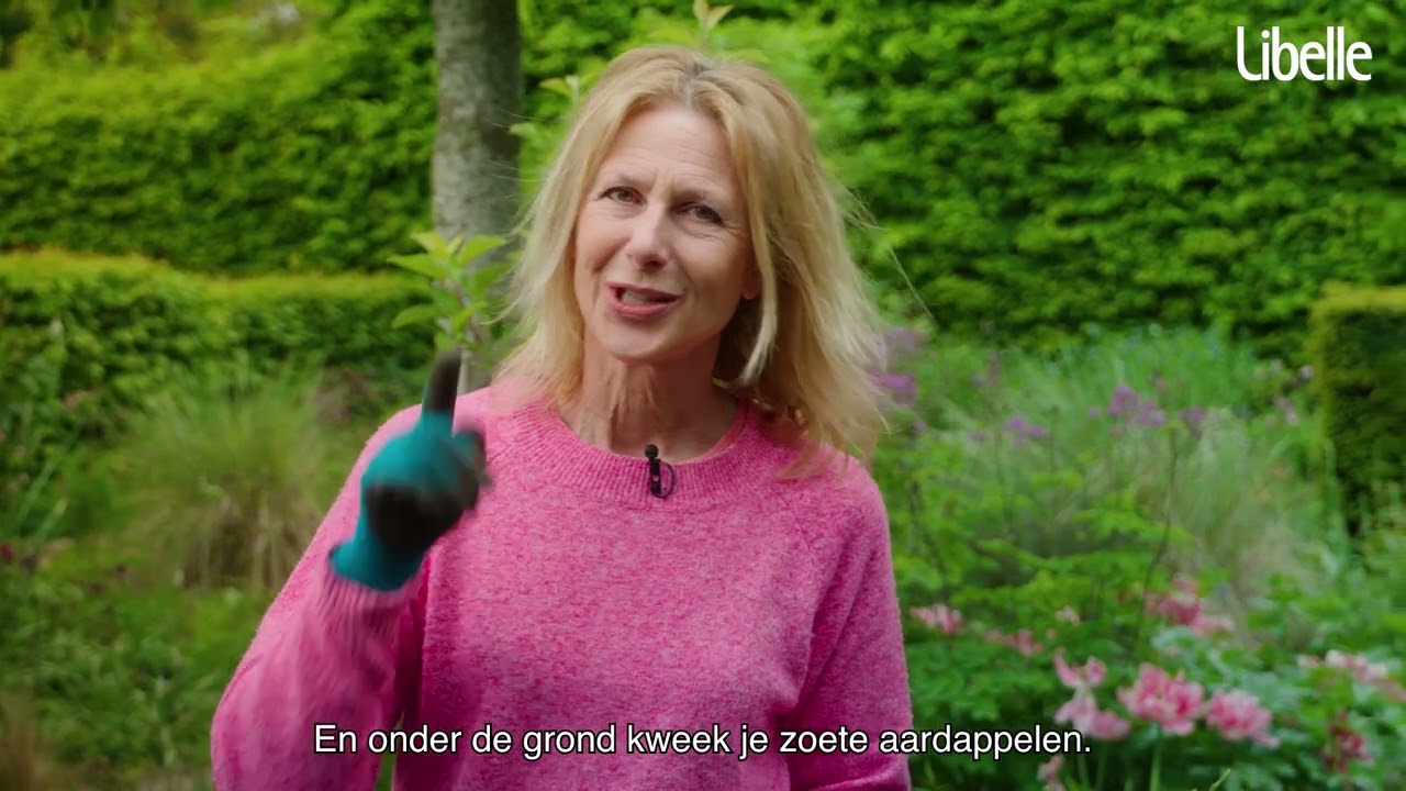 Groenten kweken in potten doe je zo!