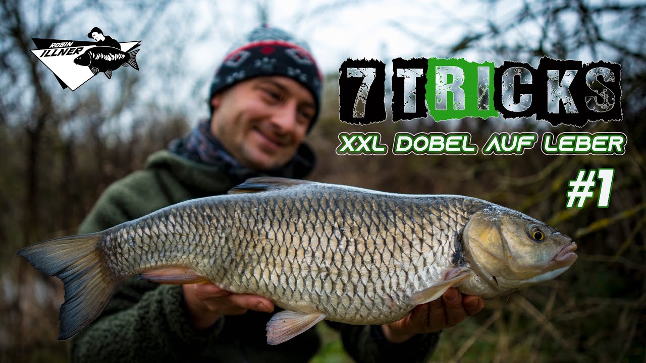 7 Tricks: #1 XXL Döbel auf Leber [Robin ILLNER am Winterfluss]