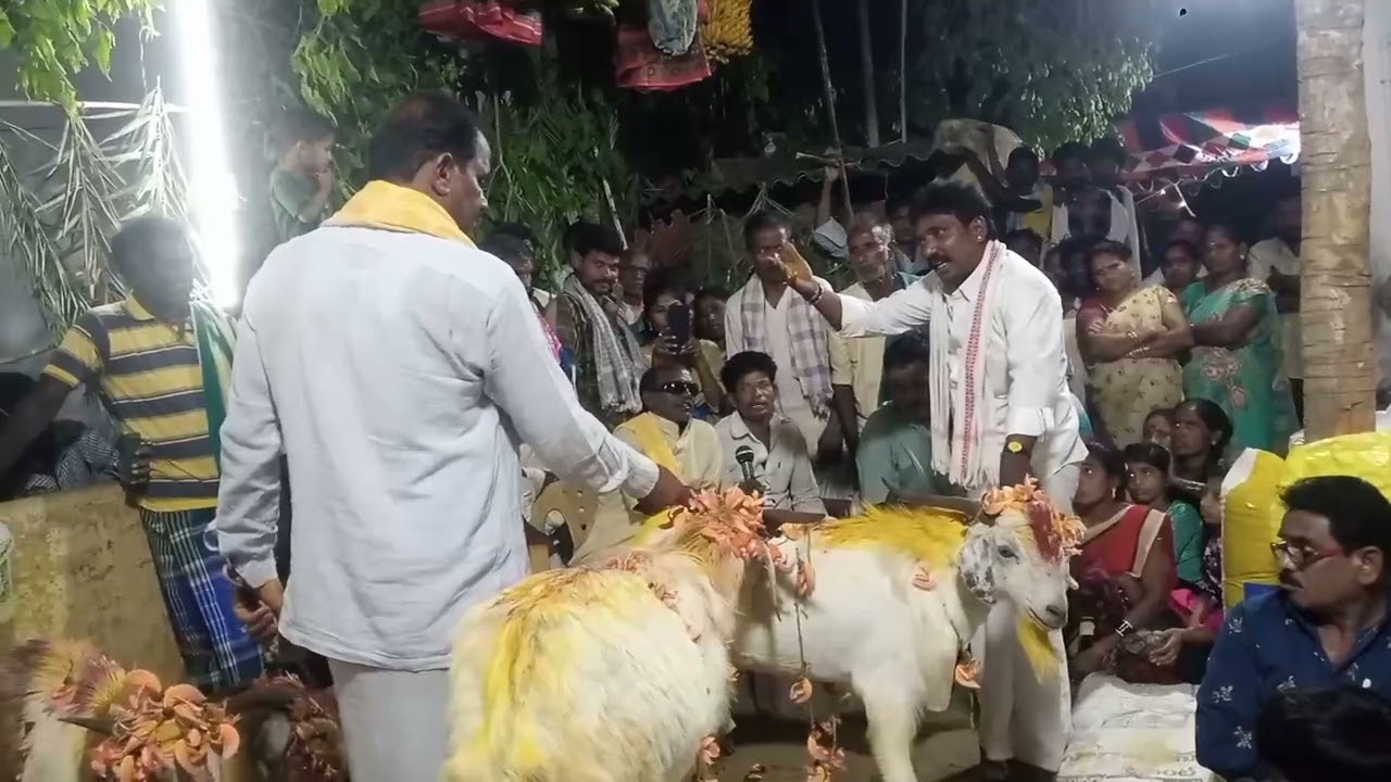 KOTIPALLI PADALA SANKAR RAO GOLLACHADUVU ❤️‍🩹🩵💖