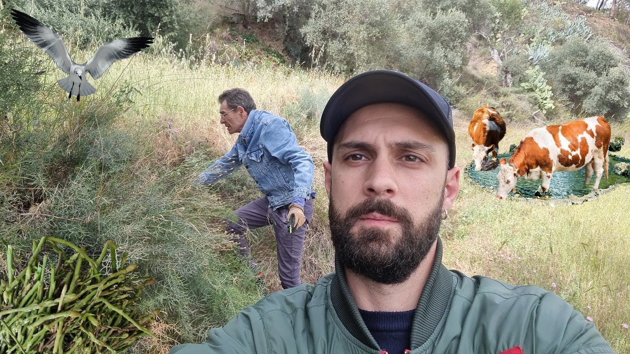 ADVENTURES IN NATUR ASMR 📚💤🧡 PASSEGGIATA IN CAMPAGNA [NO MIDDLE ADS]