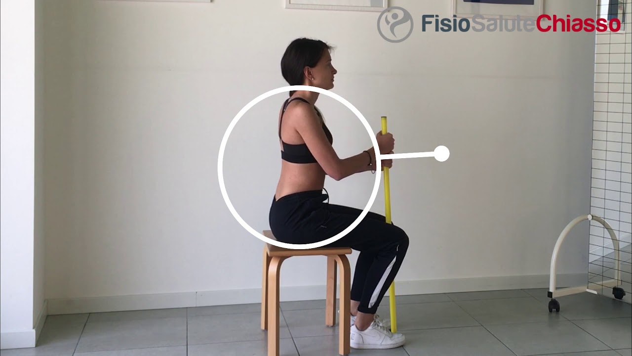 5 Esercizi per la postura - Stop al mal di schiena | Fisio Salute