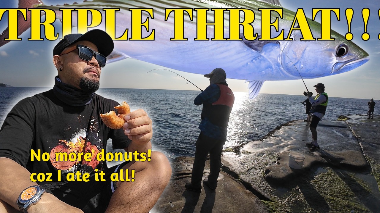 Rock Fishing Sydney: 31 Fish Session at Avoca Rocks! (Bonito & Kingfish madness)