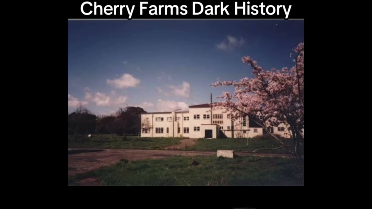 Cherry Farms 📽🚫🏥❌️