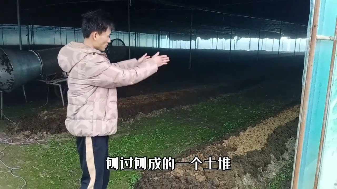 年轻人宁愿打工，也不干的生态养殖，没想到这么赚钱，真羡慕