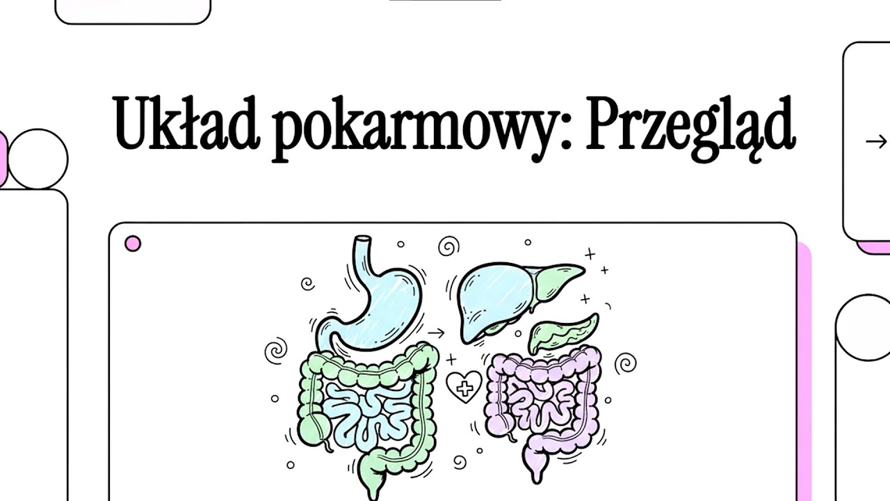 Student Pielęgniarstwa - Układ Pokarmowy | Interna
