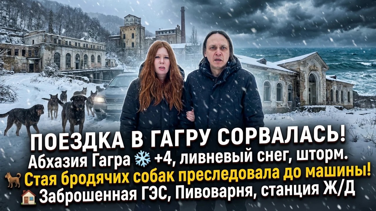 «Абхазия +4, шторм, заброшки, бродячие собаки 😱