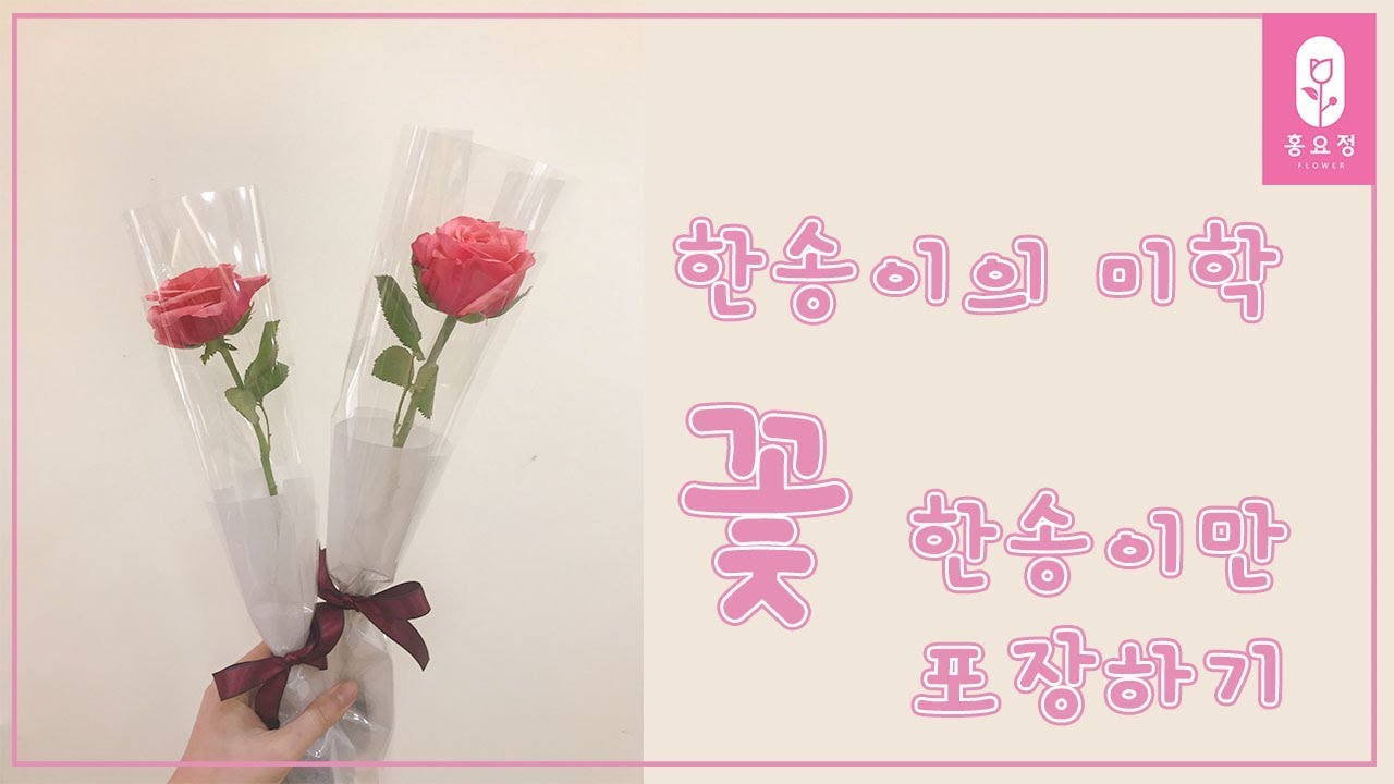 [꽃꽂이_플라워레슨]插花,花  딱!한송이만 가지고 포장해요 how to wrapping korean style flower
