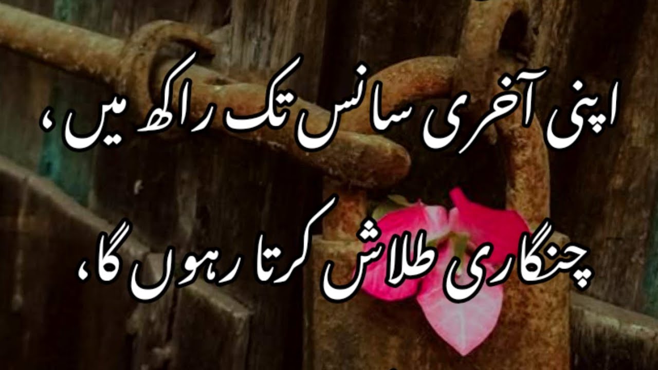 Urdu poetry | Deep thoughts | Bitter truth | Sad poetry |
