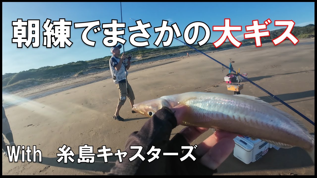 【キス釣り】仕事前の朝練習で良型連発！？糸島キャスターズの皆さんと♪