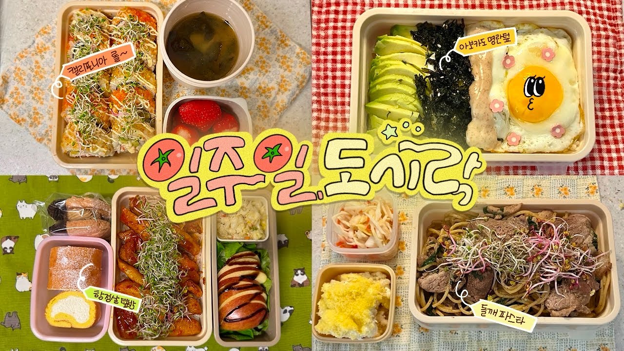 식비 절약은 실패했지만💸 마음은 든든한 자매의 일주일 도시락🐷#68
