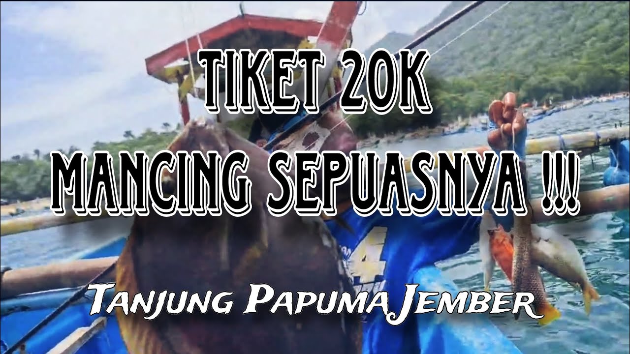 Tiket 20 ribu MANCING SEPUASNYA !!! Pantai Tanjung Papuma Jember
