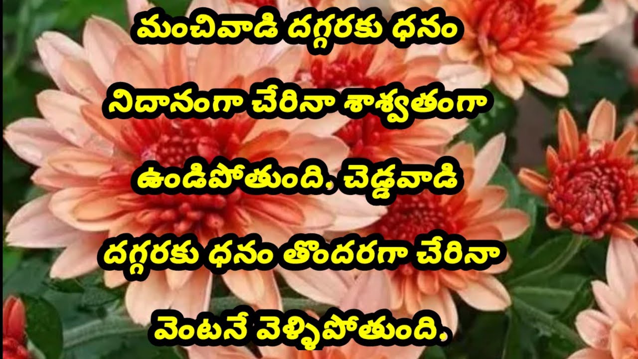 మంచి మాటలు  #133/motivational quotes / telugu life quotes / inspirational quotes/ sukthulu 