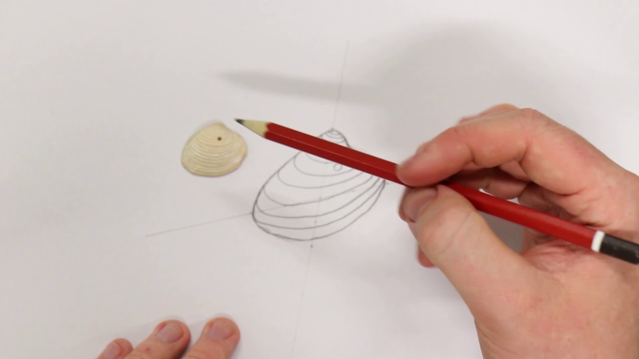 Basic Scientific Drawing