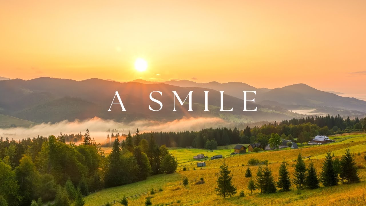 Peaceful Guitar and Piano Music with Forest Bird Sounds