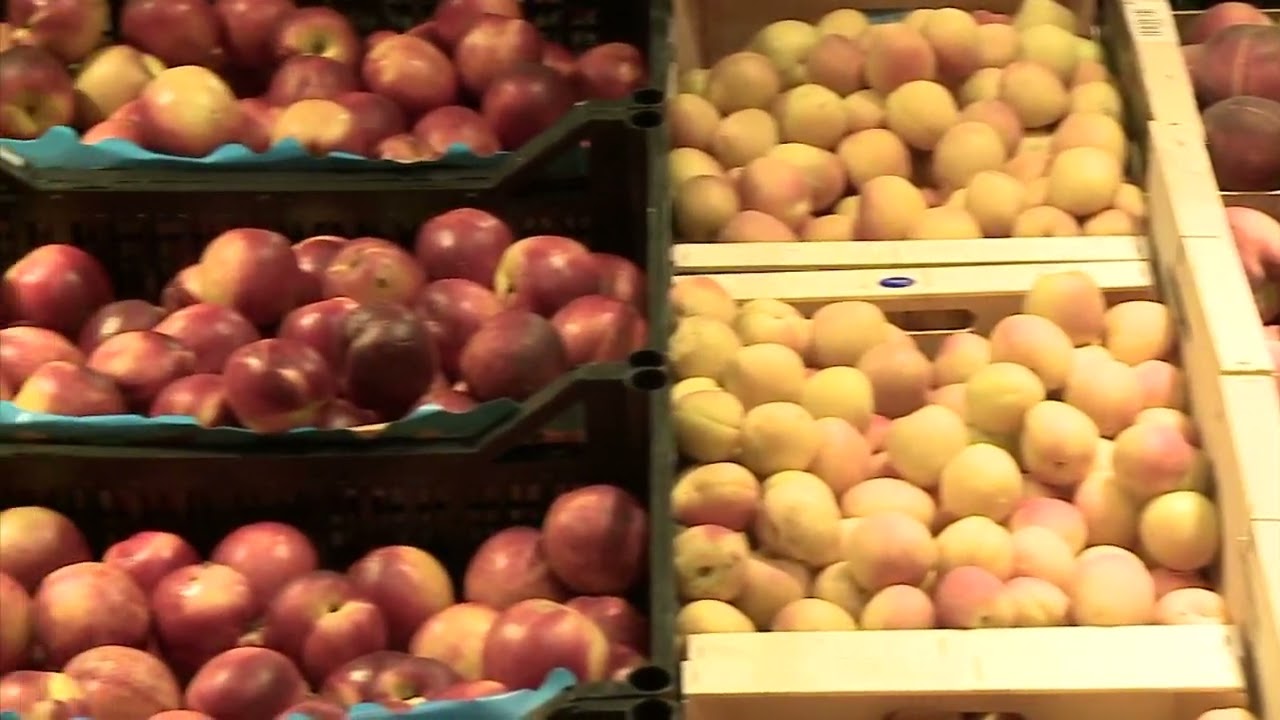 September 2023 inflation forecast is 8.2%! It will continue to fall, according to economists