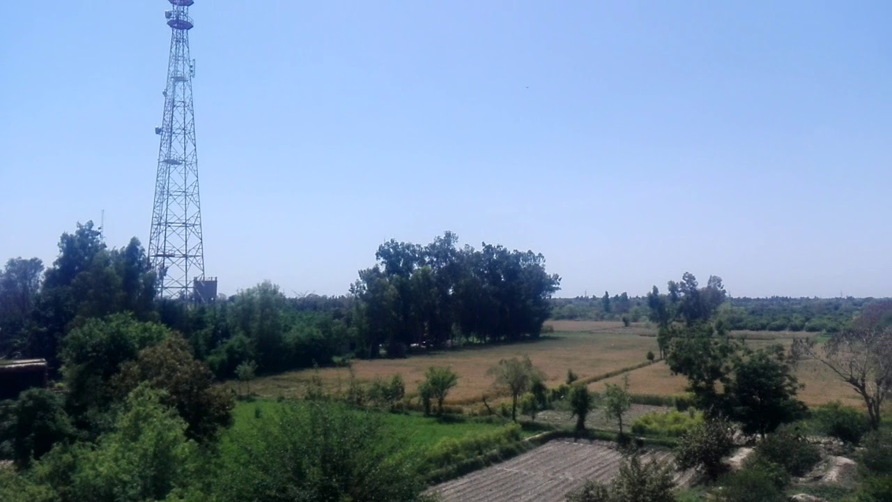 46 adda sargodha