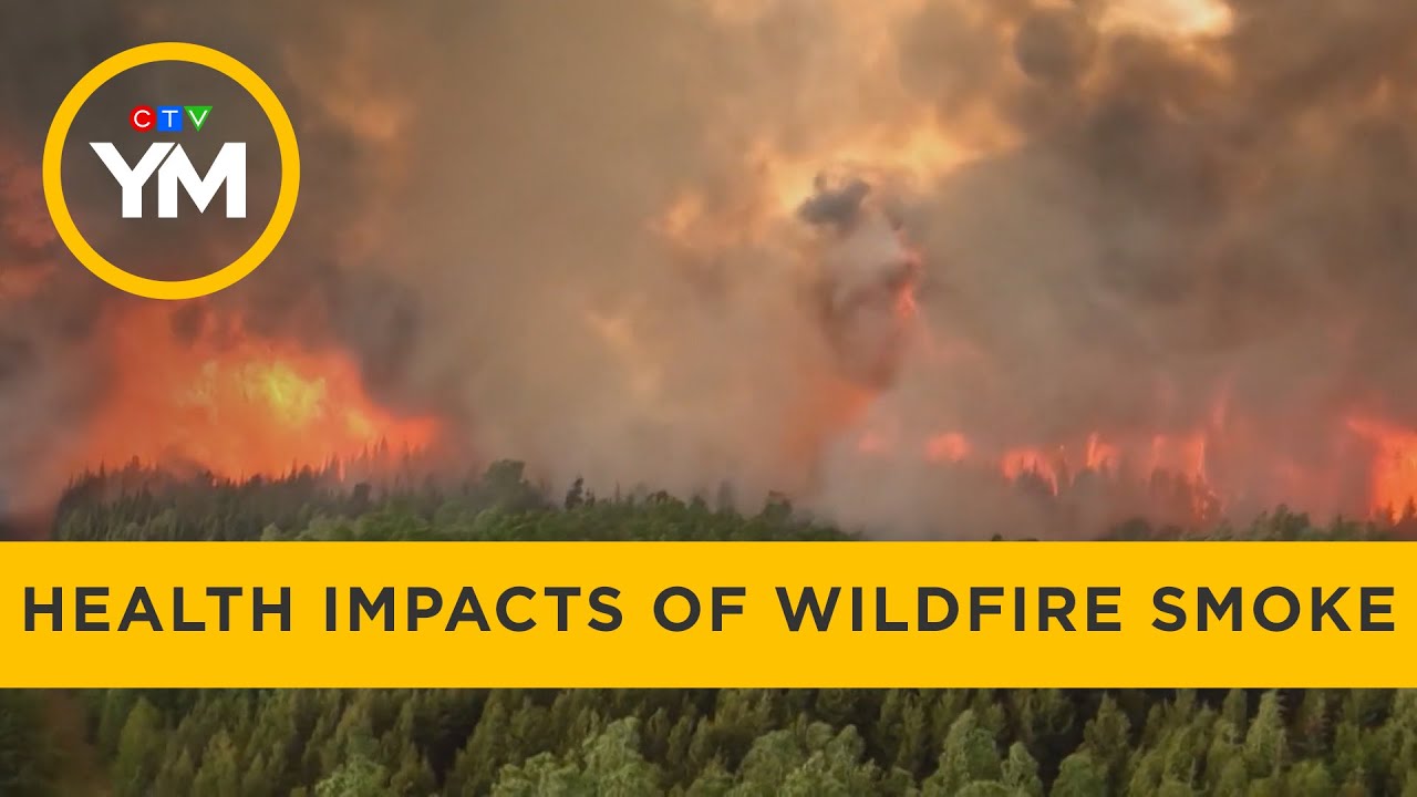Health impacts of long-term exposure to wildfire smoke | Your Morning