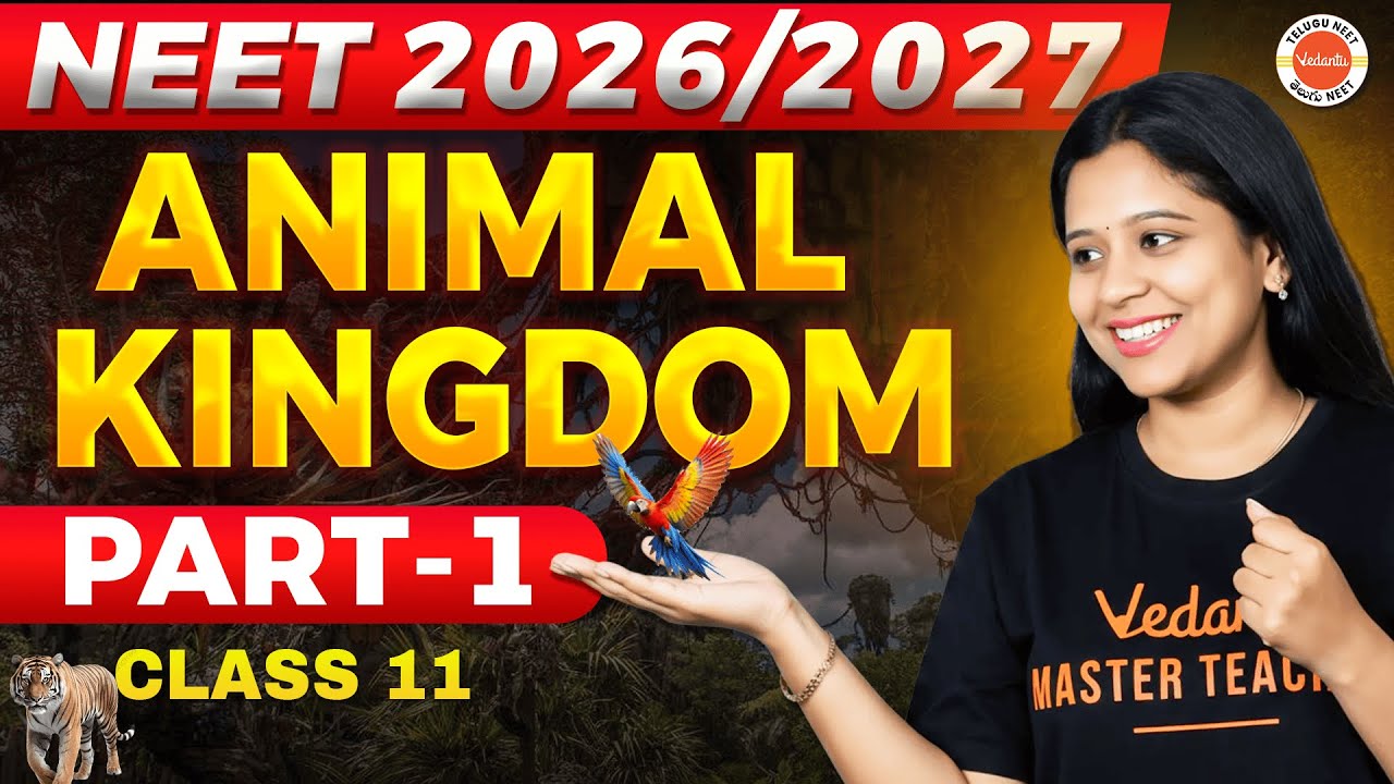 ANIMAL KINGDOM |  Part 1 | Class 11 | NEET 2026 & 2027  | Sunaina Ma'am