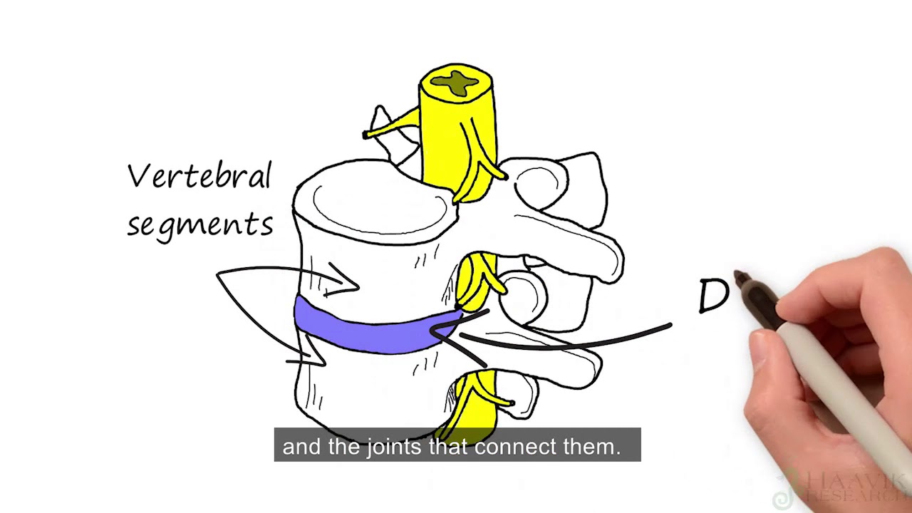 The Beginners guide to Chiropractic