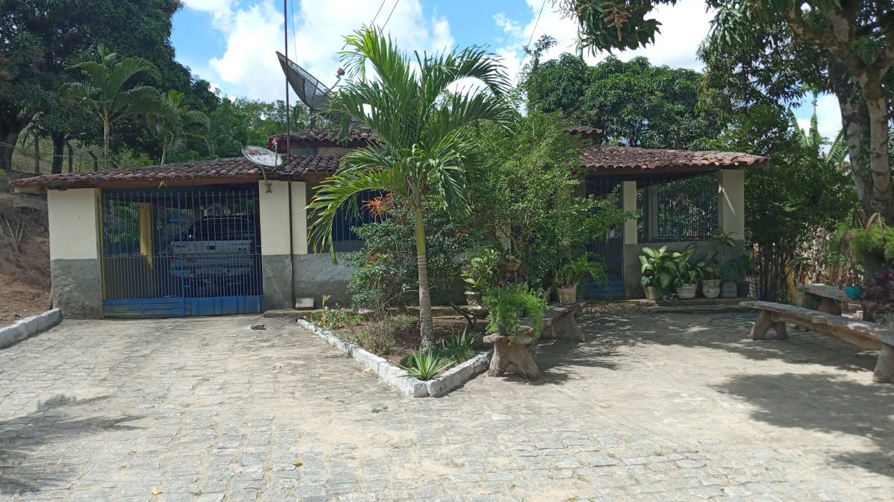 vende-uma chácara zona rural de União dos Palmares sítio Cavaco3 hectares e meio $470000(82)88600937